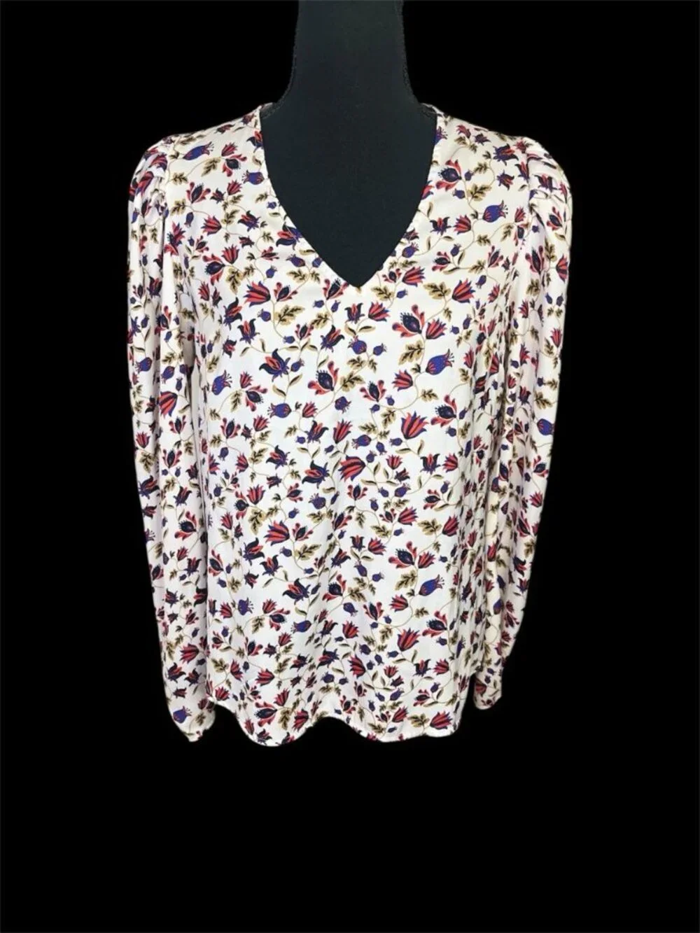 Banana Republic Long Puff Sleeve Floral Blouse Sz S Boho Satin V Neck Office